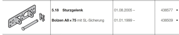 Hörmann Bolzen A8-75 mit SL-Sicherung für das Sturzgelenk für Führungsschienen FS 60 und FS 6, 438509